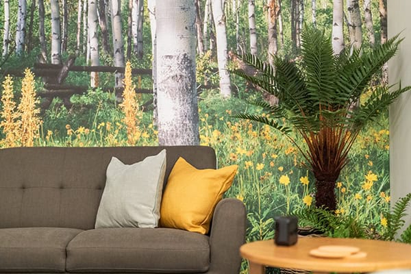 Relaxing therapy space with forest mural backdrop and comfortable sofa.